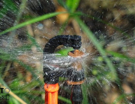 Consejos para optimizar el riego en tu jardín